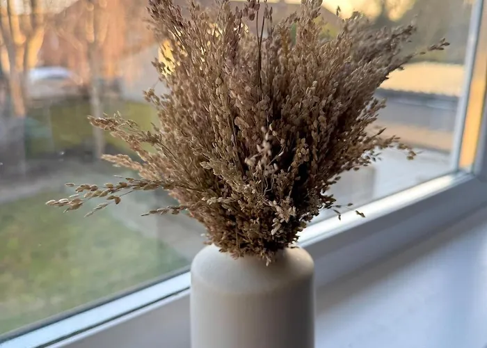 Grey Haven - & 5 Min From Southmead Hospital Appartamento